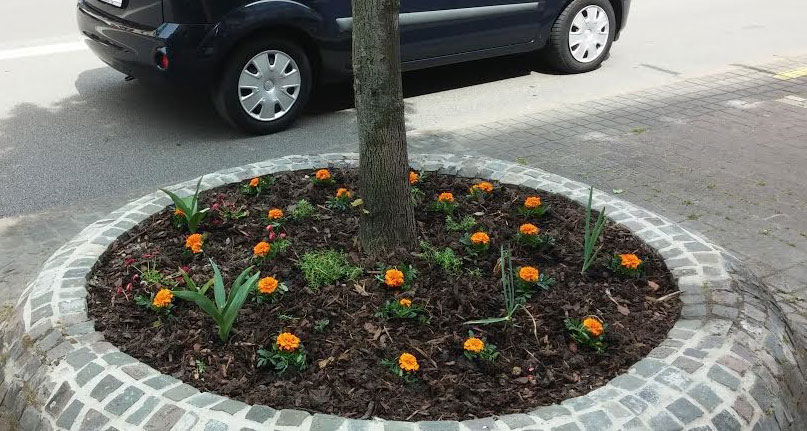 Frischsaniert und von L. Geisinger mit Blumenschmuck ausgestattet: Neuer Glanz in der Innenstadt (Foto: Geisinger)