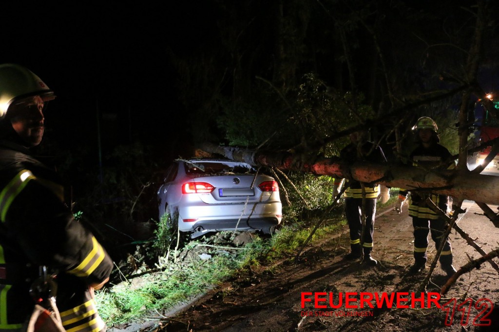 Die Kollission brachte den Baum zu Fall (Foto: FFW VKL)