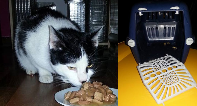 Wer kennt mich? (Foto: Privat)