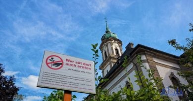 Die Gärtner des Nordbeets möchten ihre Ernte selbst einfahren (Foto: Hell)