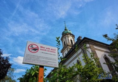 Die Gärtner des Nordbeets möchten ihre Ernte selbst einfahren (Foto: Hell)