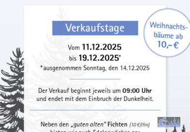 Weihnachtsbaumverkauf beim Forstamt ab 11. Dezember