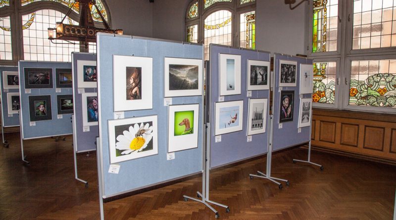 Ein Blick in die Ausstellung (Foto: Verein/Bennoit)