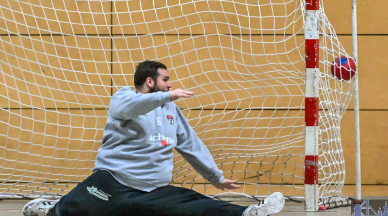 Handball / Foto: Horst Lux