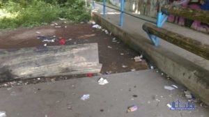 Das verunreinigte Areal unter der Straßenbrücke (Foto: AGSS)