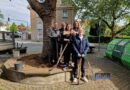 Neue Blühflächen am Haupteingang der Stadtwerke Völklingen: Gemeinschaftsaktion mit der AG Lebenswertes Völklingen für mehr Artenvielfalt