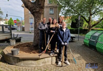 Neue Blühflächen am Haupteingang der Stadtwerke Völklingen: Gemeinschaftsaktion mit der AG Lebenswertes Völklingen für mehr Artenvielfalt