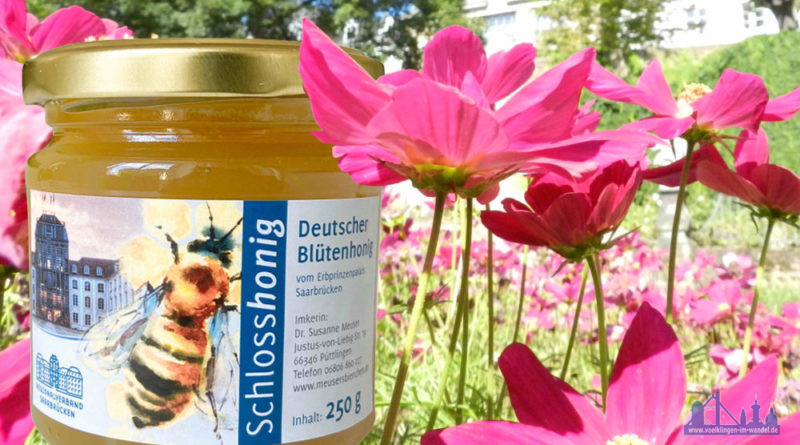 In diesem Jahr besonders aromatisch und malzig - der Schlosshonig, Fotos: Lars Weber / Regionalverband