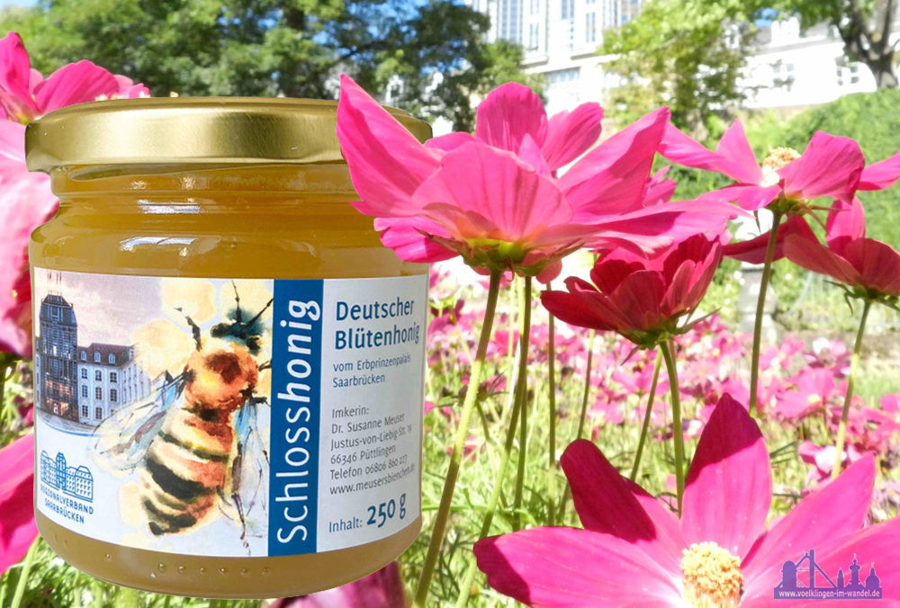In diesem Jahr besonders aromatisch und malzig - der Schlosshonig, Fotos: Lars Weber / Regionalverband