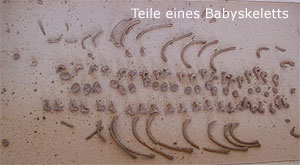 Impression aus der Grabungsperiode 2002