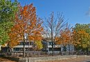 Grundschule Bergstraße (Foto: Hell)