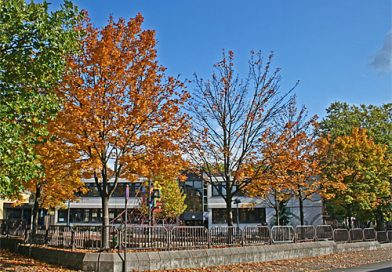 Grundschule Bergstraße (Foto: Hell)
