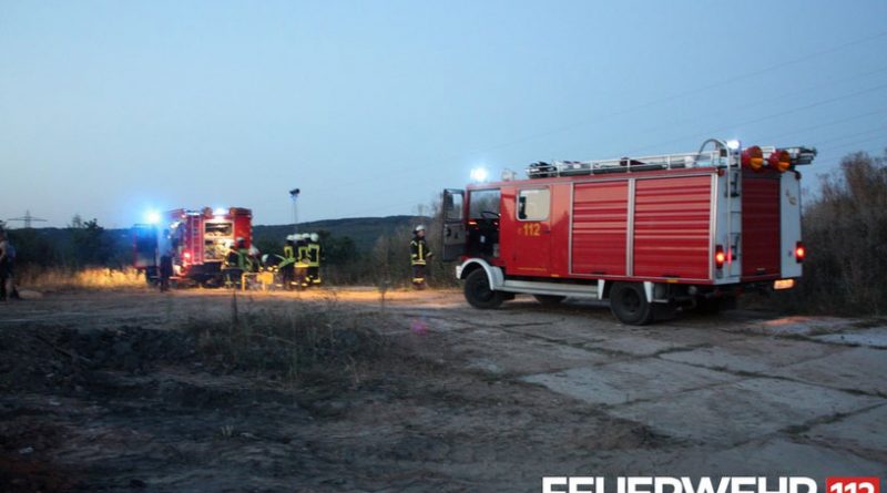 Wiesenbrand in Wehrden (Foto: FFW Völklingen)