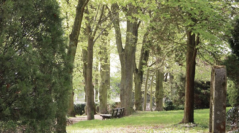 Blick in den Völklinger Bürgerpark (Foto: Hell)