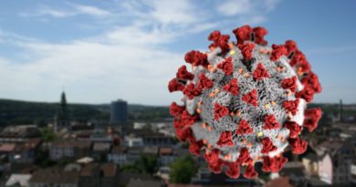 Ein neuer bestätigter Krankheitsfall – Klassen-Quarantäne am BBZ Völklingen Stadtpanorama: Hell | Virengrafik: Von CDC/ Alissa Eckert, MS; Dan Higgins, MAM - This media comes from the Centers for Disease Control and Prevention's Public Health Image Library (PHIL), with identification number #23312.Note: Not all PHIL images are public domain; be sure to check copyright status and credit authors and content providers., Gemeinfrei, Link