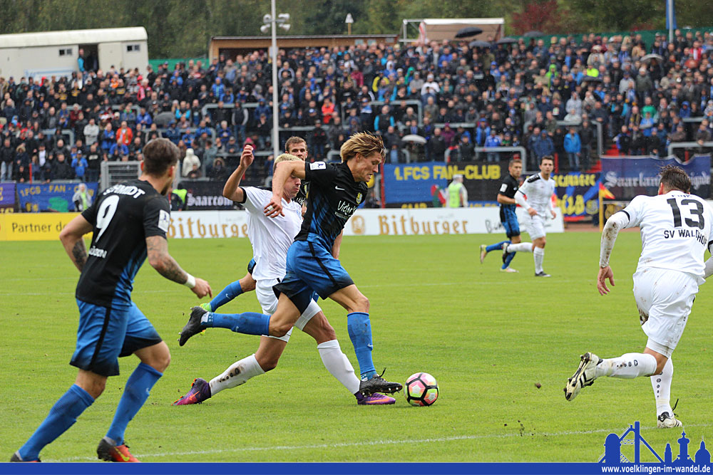 Behrens zeigte nach seiner Gelb-Sperre wieder sein Kämpferherz: Er gibt keinen Ball kampflos auf (Foto: Hell)