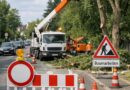 Straßensperrungen wegen Baumschnittarbeiten in der Ludweilerstraße  