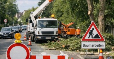 Straßensperrungen wegen Baumschnittarbeiten in der Ludweilerstraße  