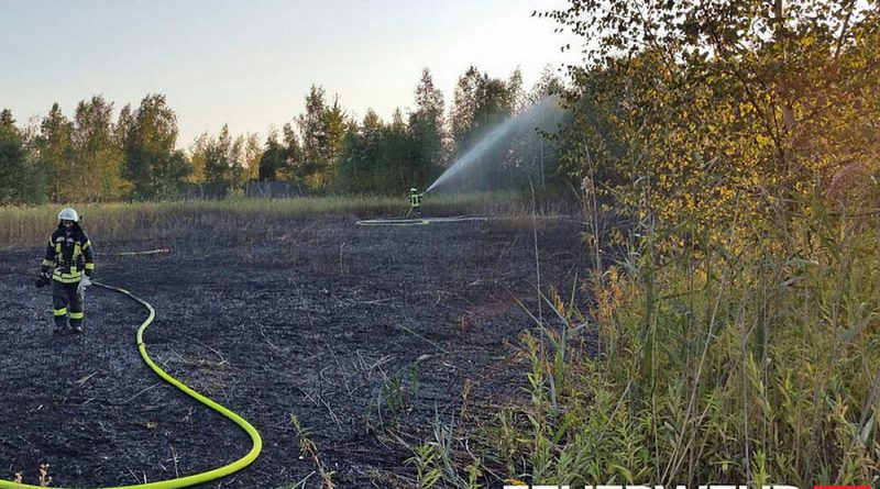 Flächenbrand auf Bergehalde (Foto: Feuerwehr Völklingen)