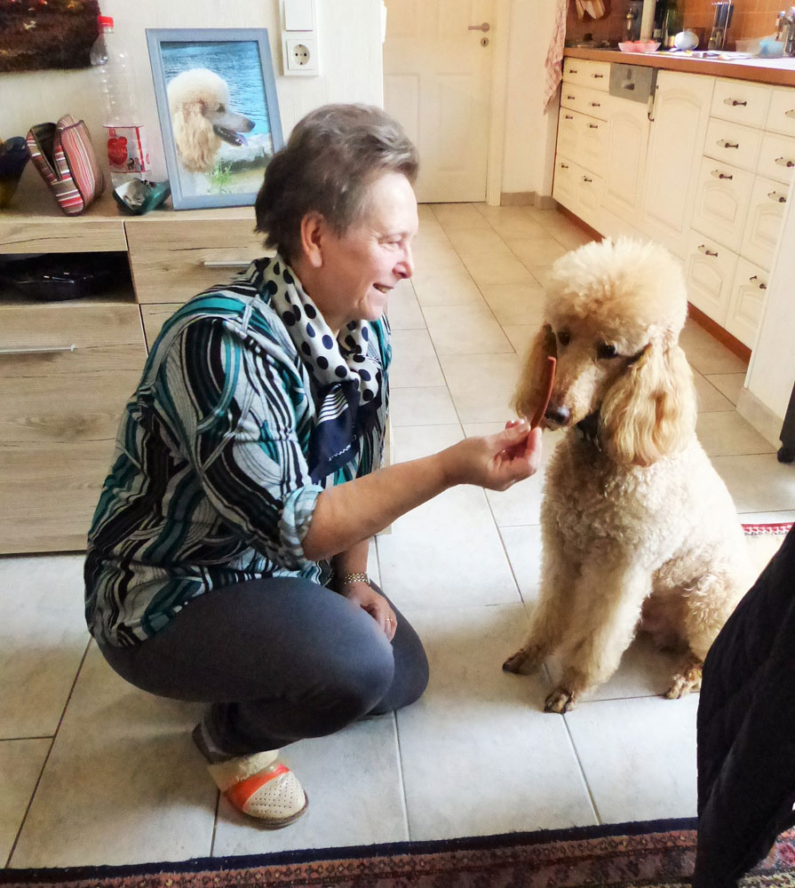 Ferien im Wohnzimmer mit dem Königspudel (Foto: Pflegeherzen)