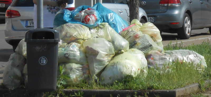 Alle 14 Tage häufen sich in Völklingen die Müllberge zur Abfuhr - nur bleiben sie zu oft liegen! (Foto: Privat)