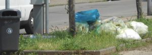 Liegengebliebener Müll: Blaue Säcke oder unsachgemäß befüllte gelbe Säcke bleiben liegen (Foto: Privat)