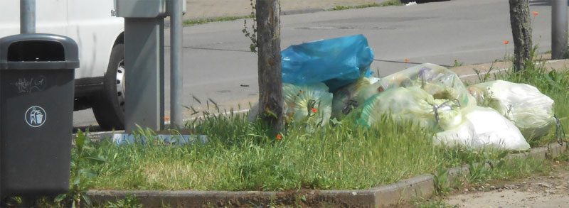 Liegengebliebener Müll: Blaue Säcke oder unsachgemäß befüllte gelbe Säcke bleiben liegen (Foto: Privat)