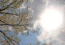 Die Sonne über Völklingen (Foto: Hell)