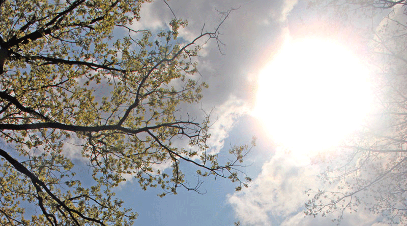 Die Sonne über Völklingen (Foto: Hell)