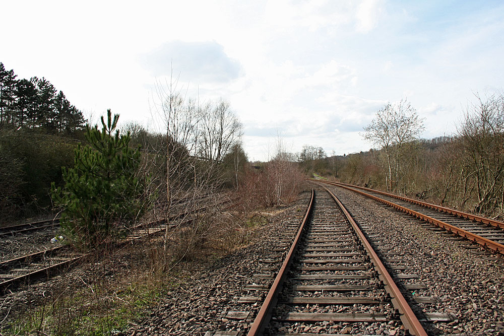 In Blickweite zum Weltkulturerbe holt sich die Natur wertvolle Infrastrucktur zurück (Foto: Hell)