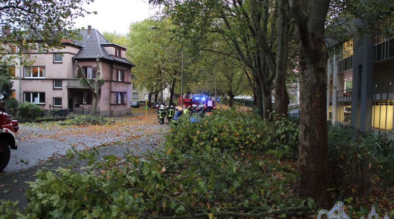 Die Feuerwehr hatte 2014 in der Stadionstraße mit herabfallenden Ästen zu kämpfen (Archivfoto: Hell)