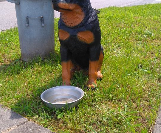 Der gestohlene "Wachhund" (Foto: Leser)