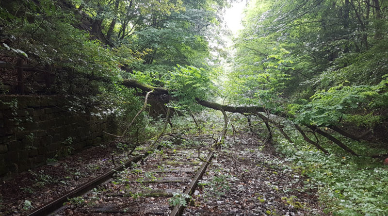 Die Natur holt sich die Strecke langsam zurück (Foto 2017: Hell)