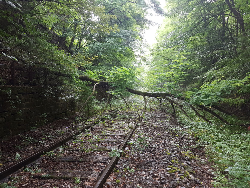 Die Natur holt sich die Strecke langsam zurück (Foto 2017: Hell)