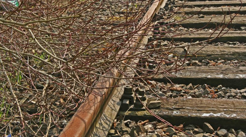 Verlassene Gleise auf der Warndtstrecke/Rosseltalstrecke (Foto: Hell)