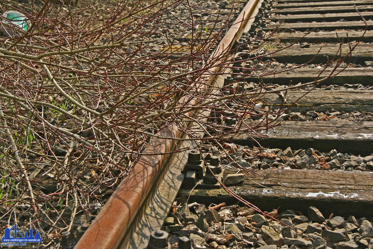 Verlassene Gleise auf der Warndtstrecke/Rosseltalstrecke (Foto: Hell)