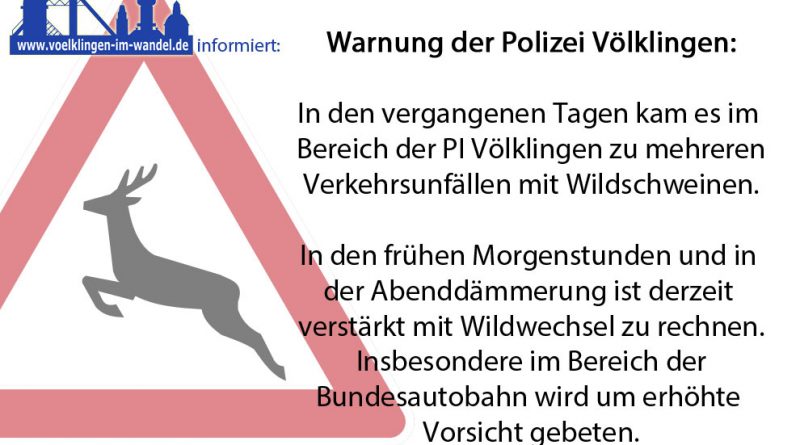 Warnung vor Wild auf der Fahrbahn