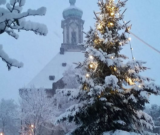 Vor der Versöhnungskirche steht ein Weihnachtsbaum (Leserfoto)